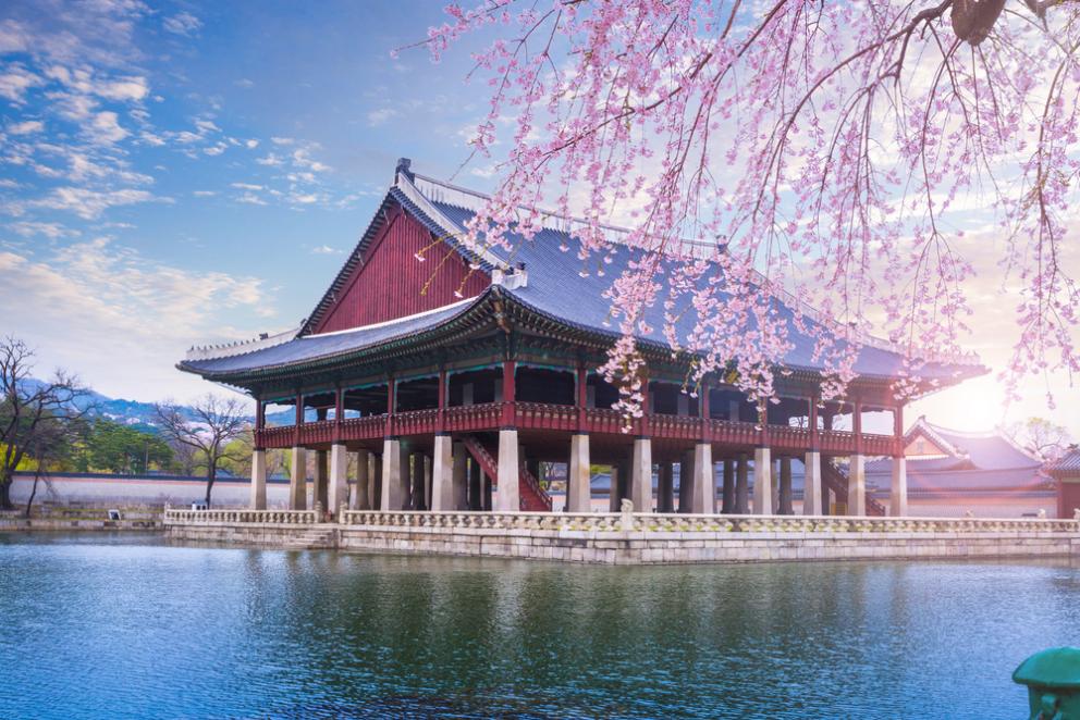 image-TEFL Jobs in Korea